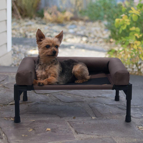 Bolster Pet Cot Elevated Dog Bed, Chocolate, Small
