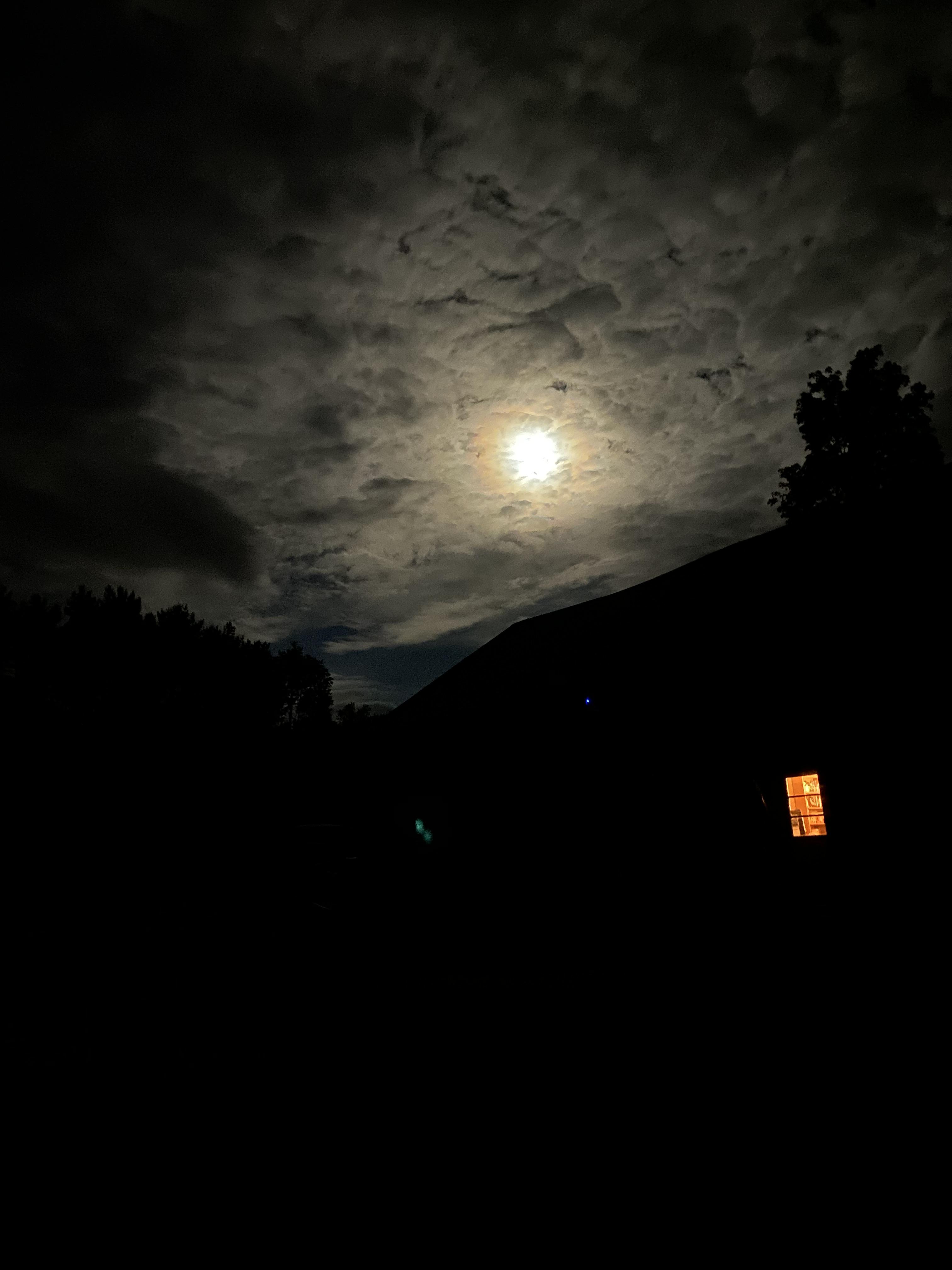 The Wedding Website of Mira Bowin and Andy Barker