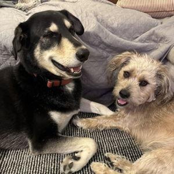 Charlie and Oskar's Toy Fund