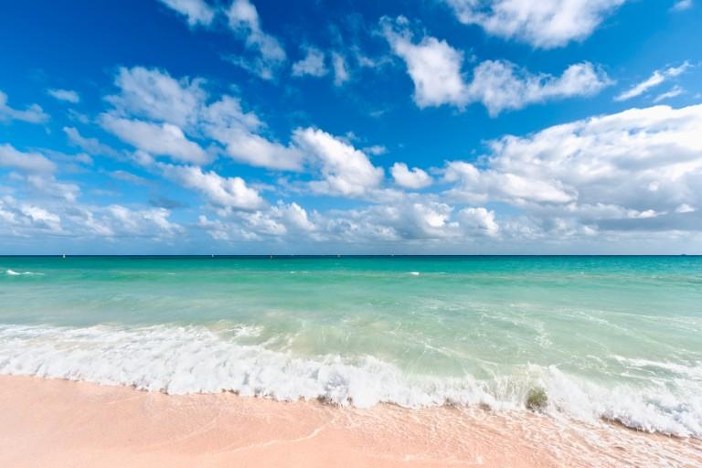 The Wedding Website of Dakota McPherson and Nicholas Vaglica