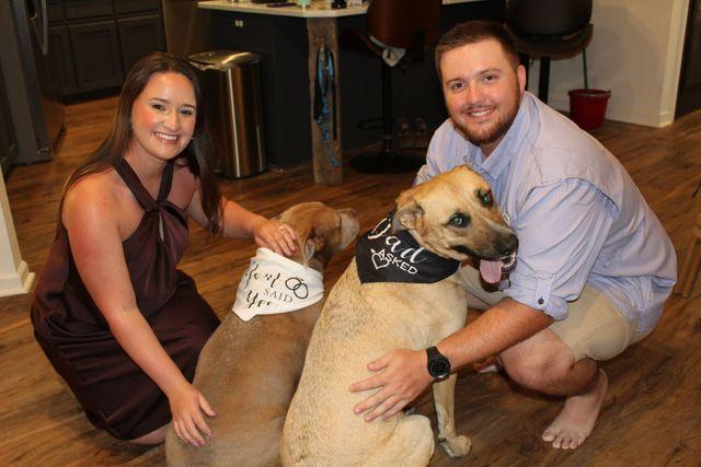 The Wedding Website of Sophie Joseph and Evan Kimbel