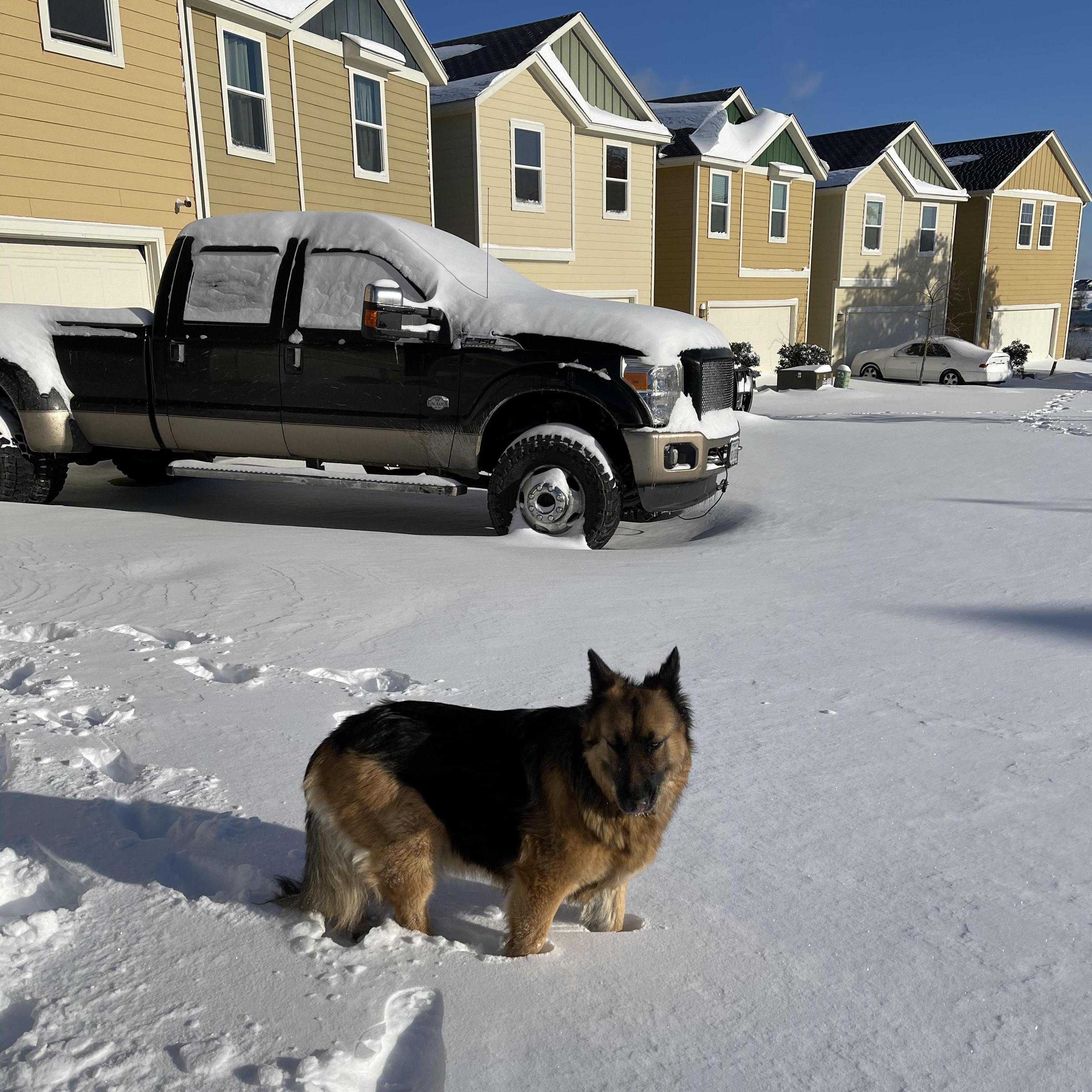 We survived the snowmaggeden with the help of Darrel’s Truck!