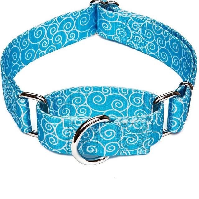 Dazzber Martingale Collar Nylon Dog Collar No Pull Pet Collar Heavy Duty for Medium and Large Dogs, Adjustable 14 Inch - 21 Inch, Sky Blue