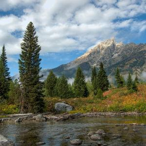 National Parks & Road Trips