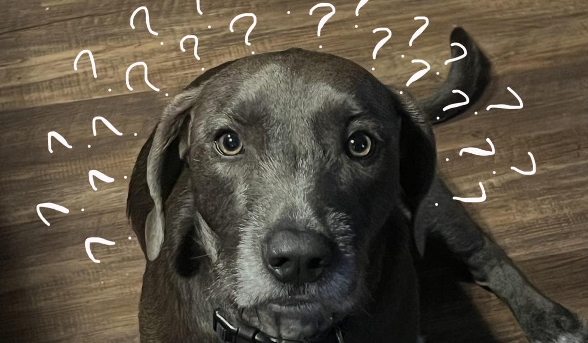 The Wedding Website of Peighton Burge and Danny Nguyen