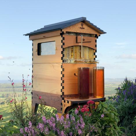 Flow Hive 2: Cedar 6 Frame + Hive Stand