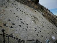Dinosaur Ridge