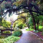 UC Davis Arboretum and Public Garden