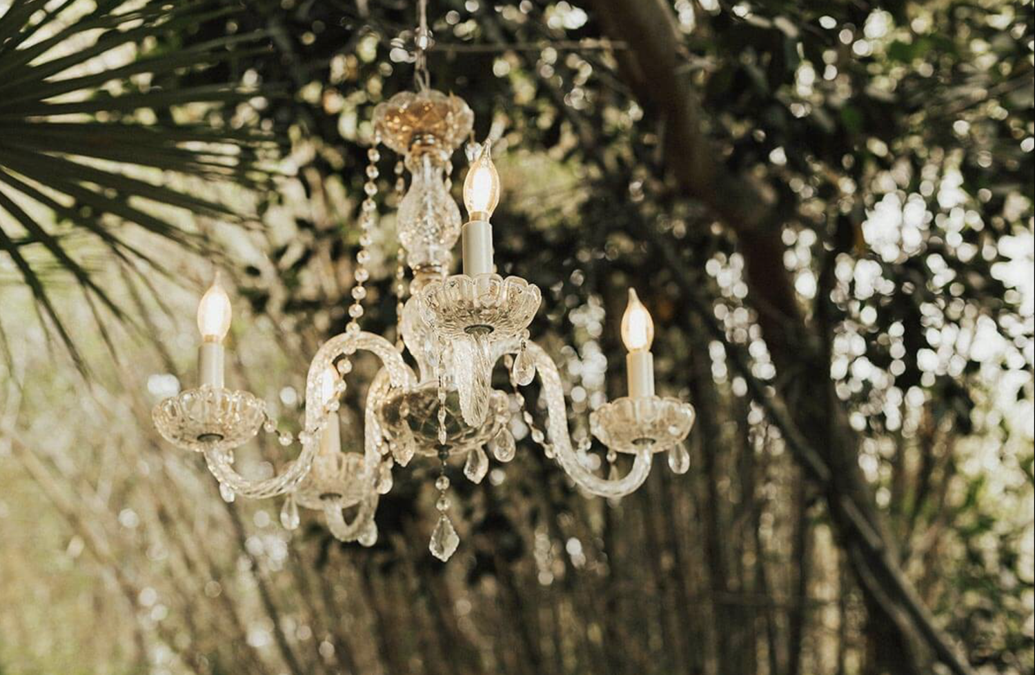 The Wedding Website of Katie Tepper and Michael Meates