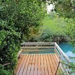 Tom Moore's Jungle