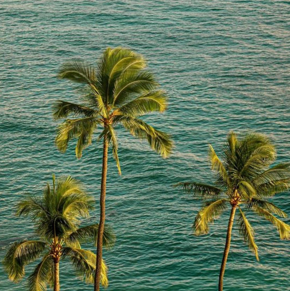 honey moon fund ☀️🌴🌊