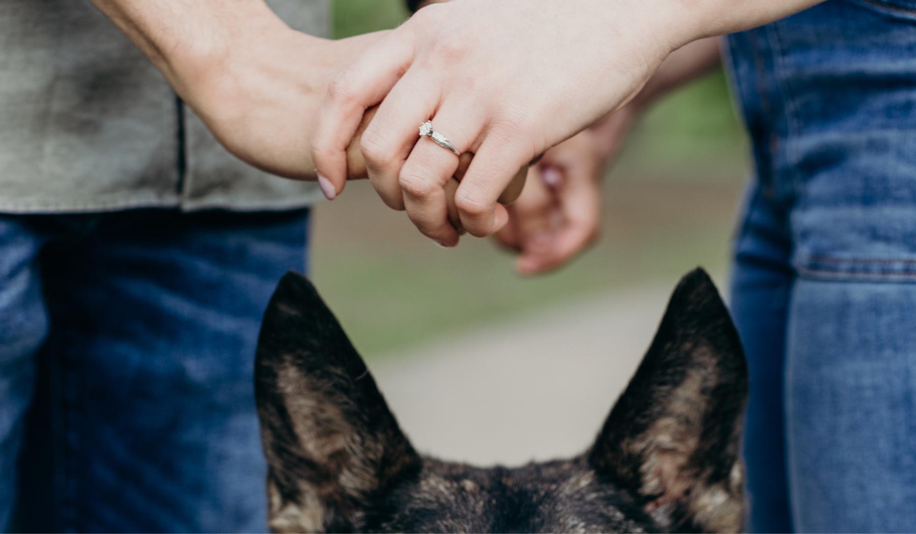 The Wedding Website of Rachel Ehret and Jordan Spears