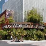 The Dallas World Aquarium