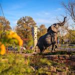 Saint Louis Zoo