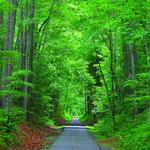 Washington and Old Dominion Railroad Trail