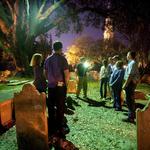 Downtown Charleston Tours