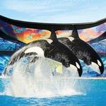 SeaWorld San Diego