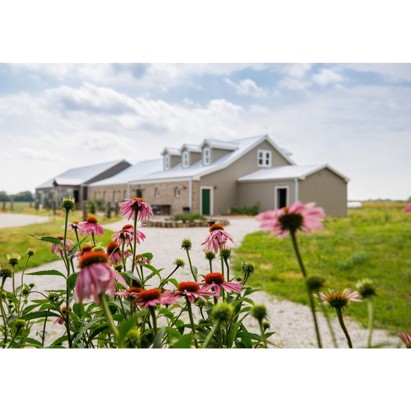 Elderslie Farm is nestled just 15 minutes north of downtown Wichita in a lovely country setting.