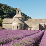 Abbaye Notre-Dame de Sénanque