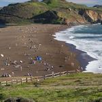 Rodeo Beach