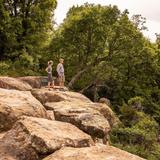 Turkey Mountain Urban Wilderness Area
