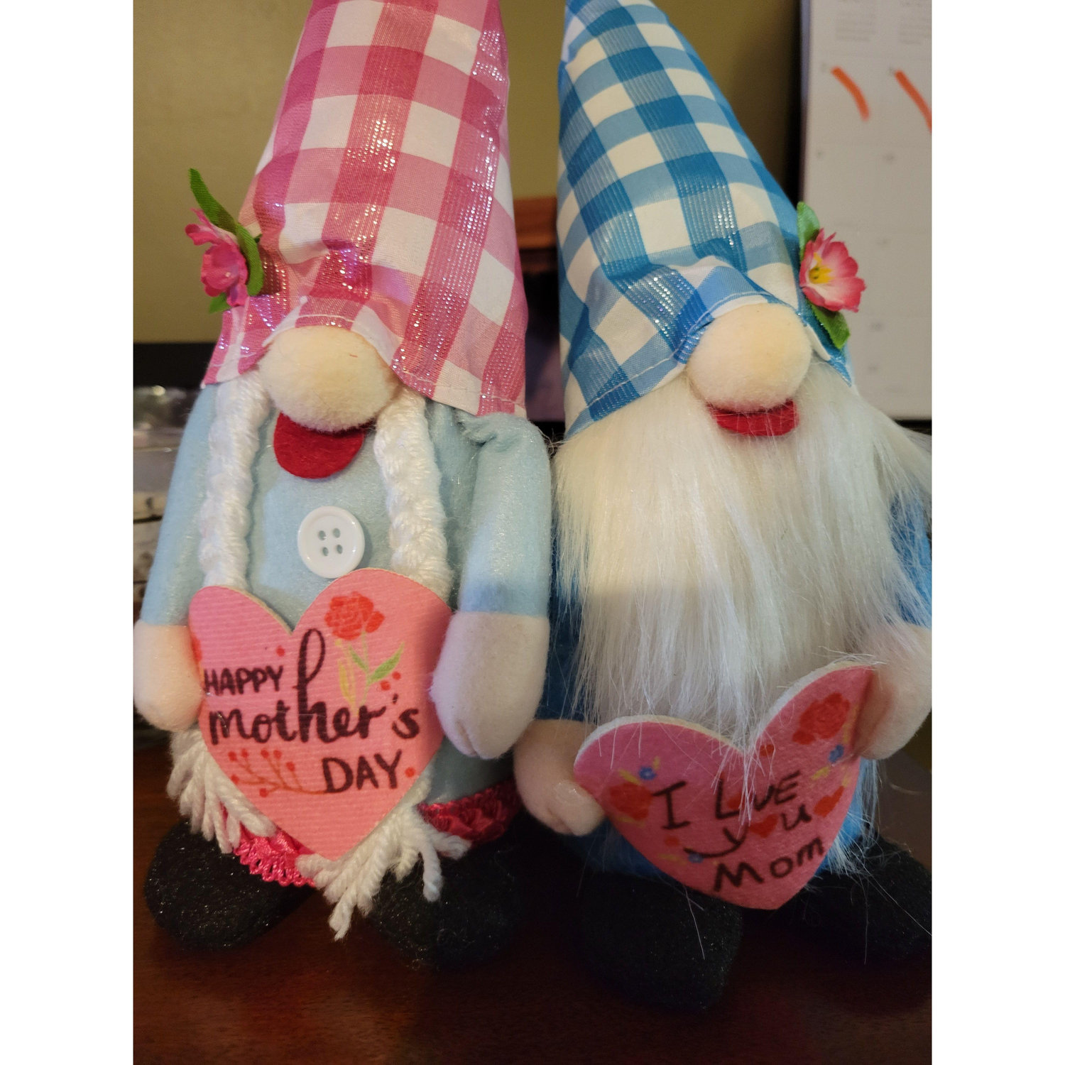 The first Mother's Day gift given to Lisa from the girls.