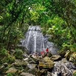 Visit El Yunque National Forest