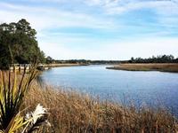Palmetto Islands County Park