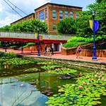 Carroll Creek Park