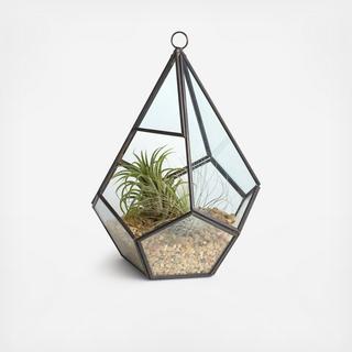 Geometric Teardrop Air Plant Terrarium