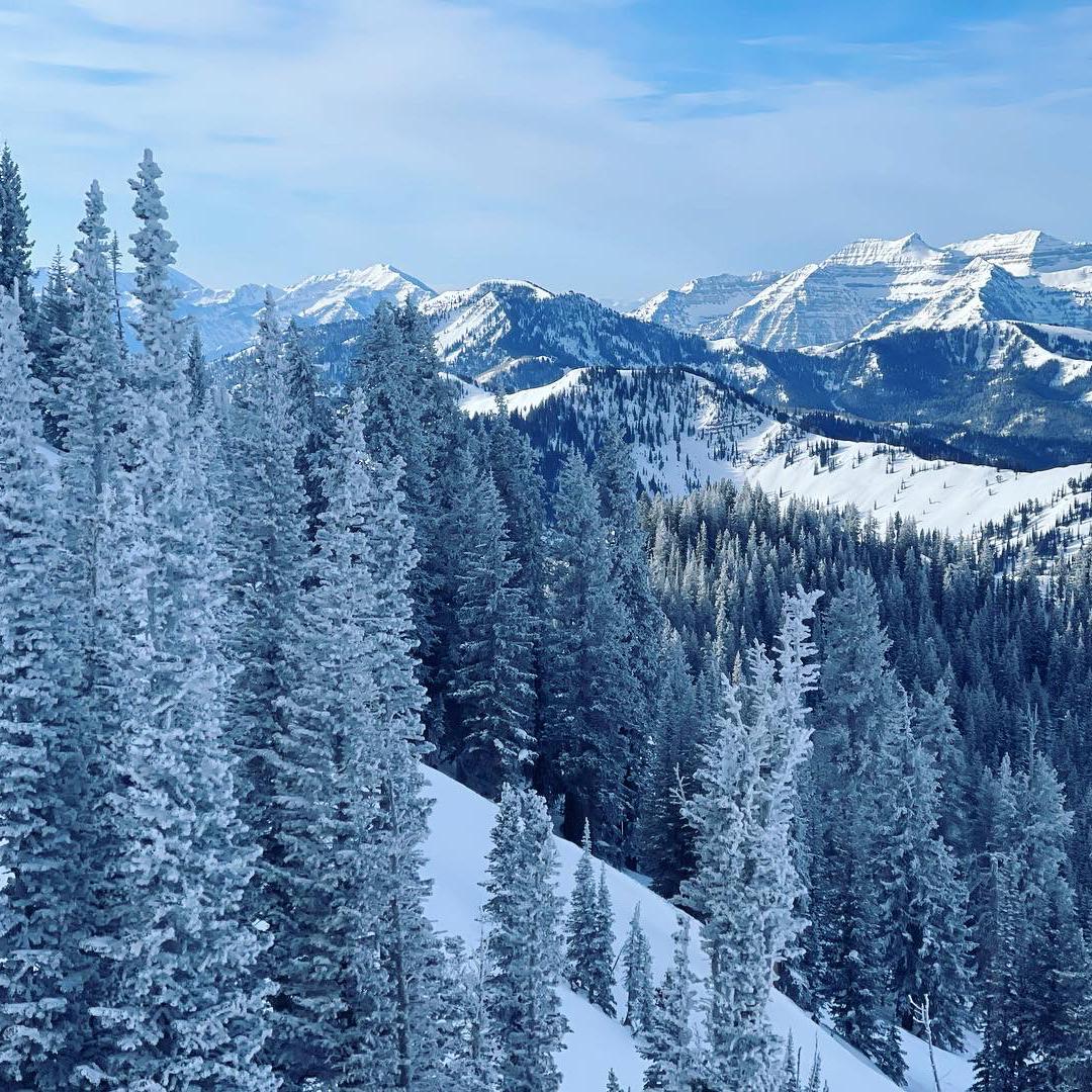 Brighton, Utah
Laura’s view at work.