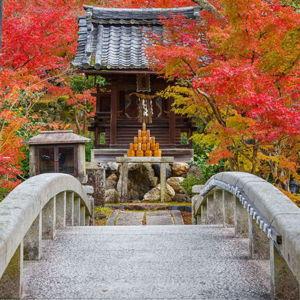 2 Nights in Kyoto