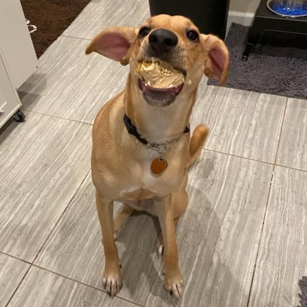 Lily's first birthday where she didn't know portion control yet