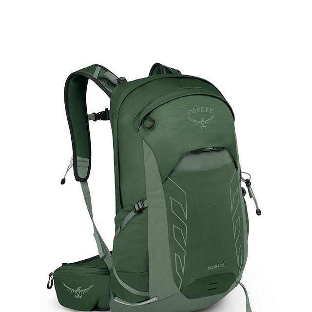Osprey Talon 22L Men's Lightweight Hiking Backpack with Hipbelt, Green Canopy/Pine Leaf