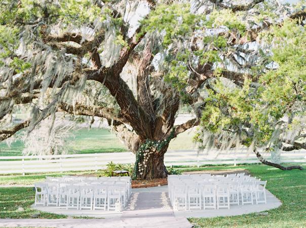 The Wedding Website of Elizabeth Carroll and Samuel Játiva