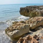 The Nature Conservancy Blowing Rocks Preserve