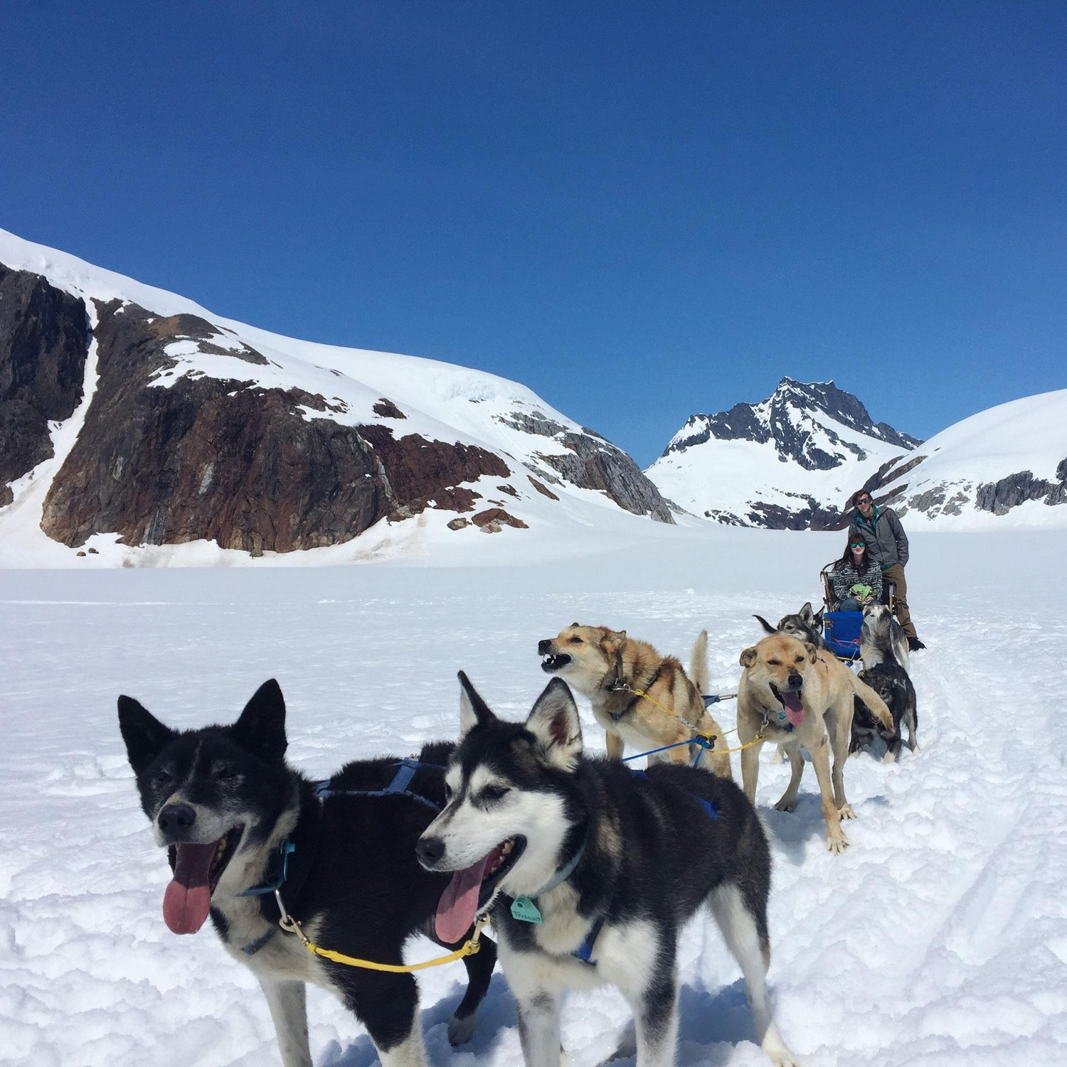 Sleigh ride in Alaska!