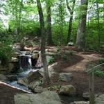 The Bog Garden at Benjamin Park
