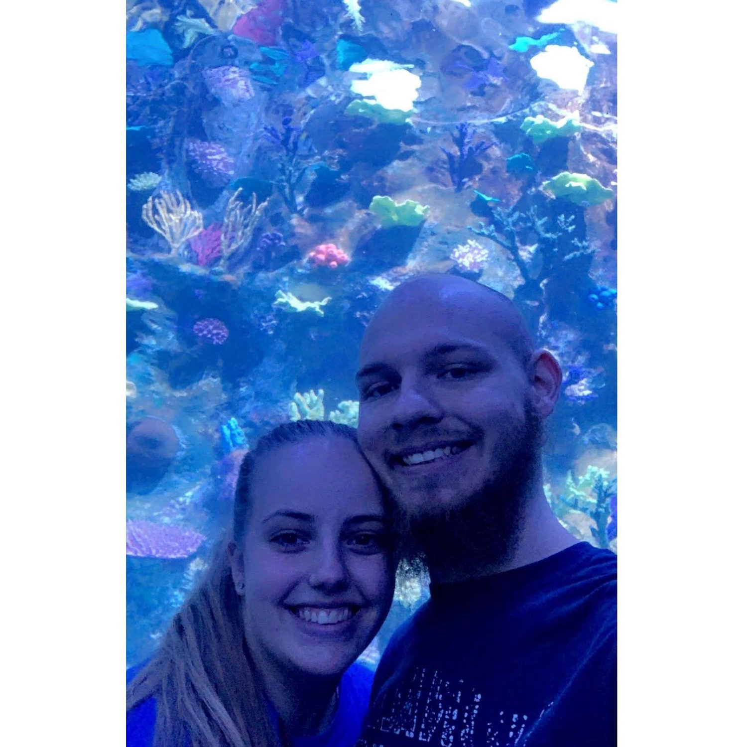 At the aquarium in Cincinnati