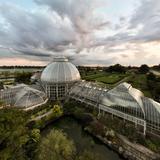 Anna Scripps Whitcomb Conservatory