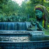 Atlanta Botanical Garden