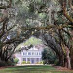 Charles Towne Landing State Historic Site