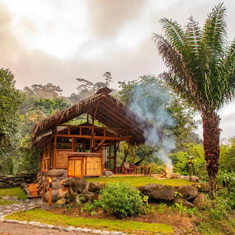 Stay in Jungle Farm Retreat in Quindio, Colombia
