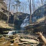 Grundy State Forest