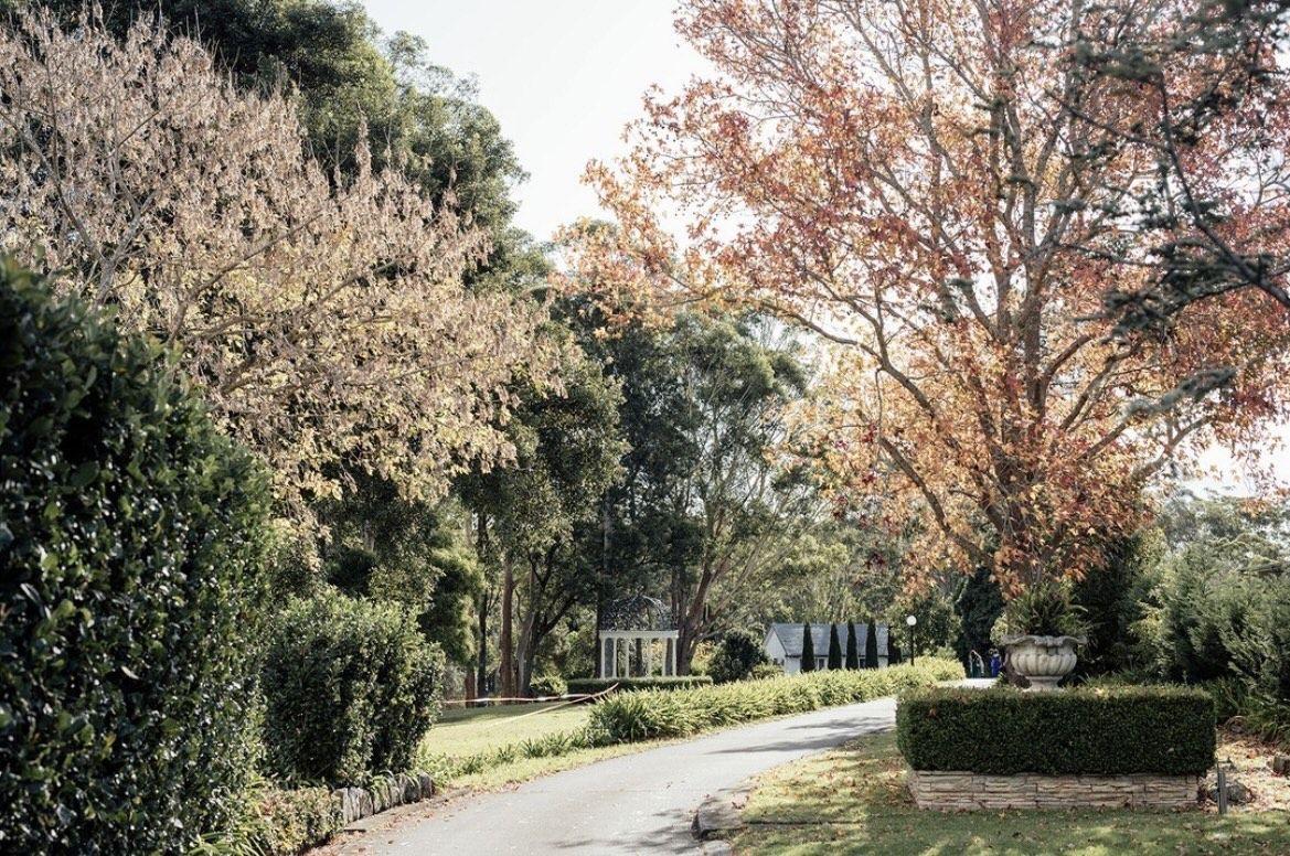 The Wedding Website of Christopher Hocking and Natasha Tamone