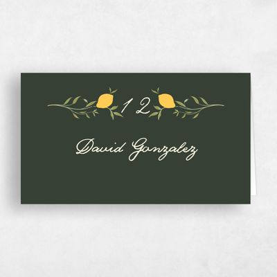 Deep Forest, Green Wedding Place Card - Brume