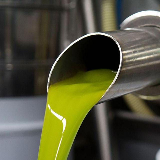 Olive Oil Subscription from Grove and Vine (375ml)