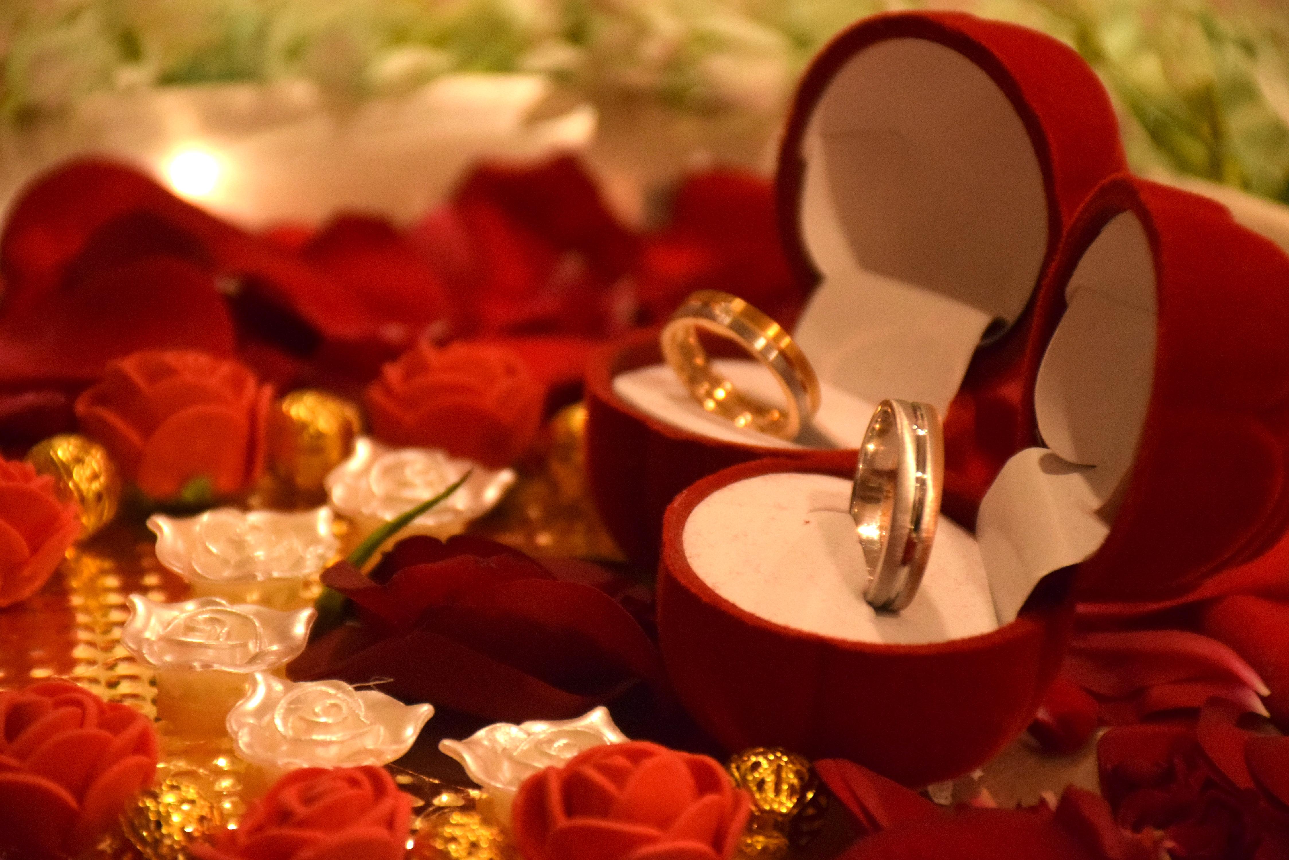 The Wedding Website of Amit Nene and Arpita Muley