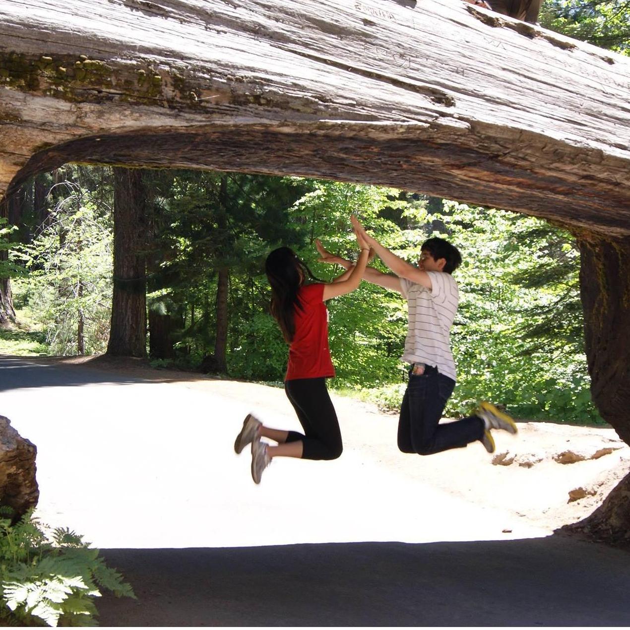 Under a tree tunnel in Kings Canyon/Sequoia National Park (June 2013)