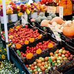 Oakland-Grand Lake Farmers Market